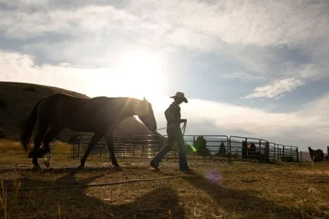 Meet the US Female Ranchers Reshaping Contemporary Ranching