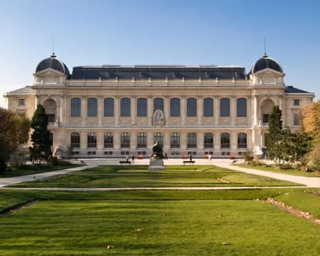 Invaluable Gold Specimens Taken in Daring Heist at French Natural History Institution